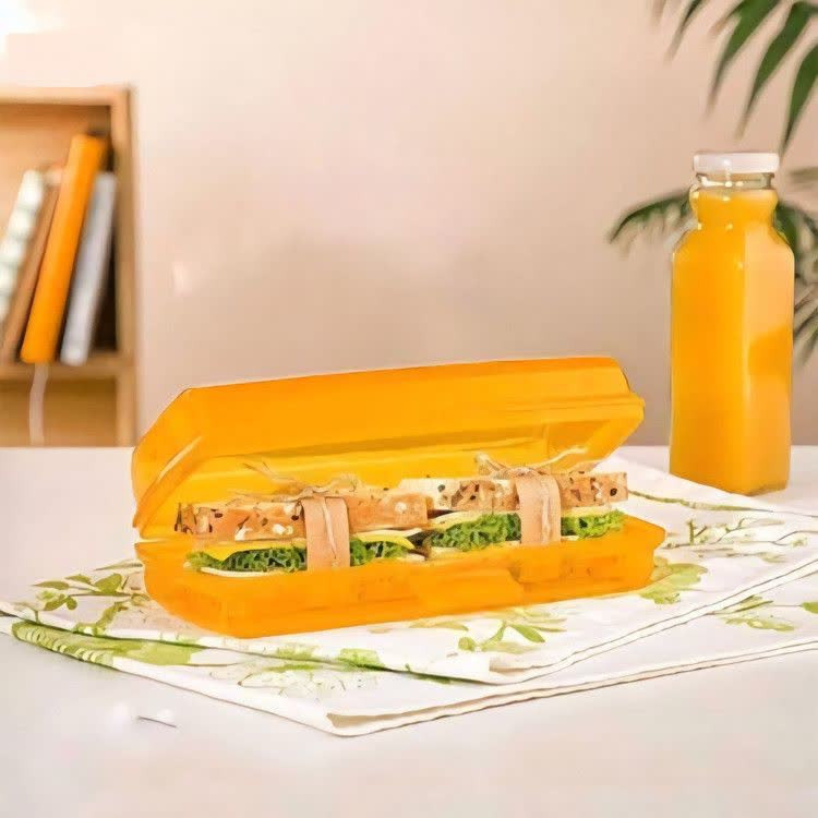 باکس ساندویچ